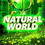 Канал - Natural World