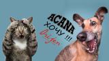 Канал - Корма для собак и кошек Acana & Orijen