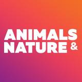 Канал - Animals & Nature - beautiful wallpapers