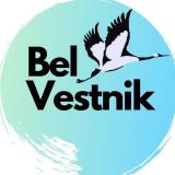 Канал - BelVestnik