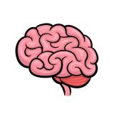 Канал - Brain Facts 🧠
