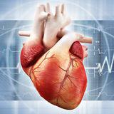 Канал - Cardiology / Кардиология