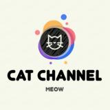 Канал - Cat Channel