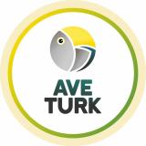 Канал - Aveturk - турецкие сериалы на русском