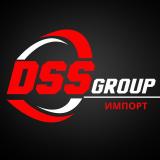 DSS Group импорт