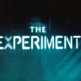 Эксперимент