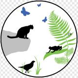 Канал - Природа | Животные | Фауна