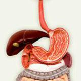 image for gastroenterology