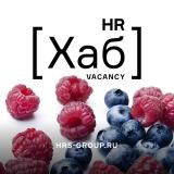 HR[хаб]вакансии