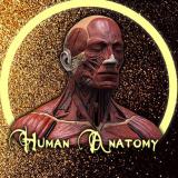 Канал - Human Anatomy
