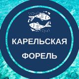 Канал - karelskaya_forel