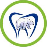 Канал - Стоматология Белый медведь