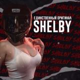 image for shelby_kz
