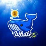 Канал - Whales Crypto 🐋