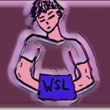 Канал - WSL | Crypto