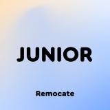 Канал - Remocate Junior: стажировки и вакансии для молодых специалистов